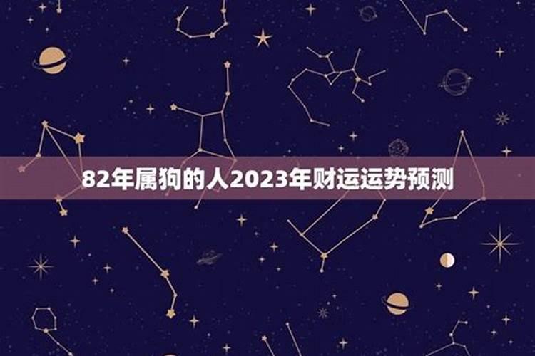 属狗的2023年的运势