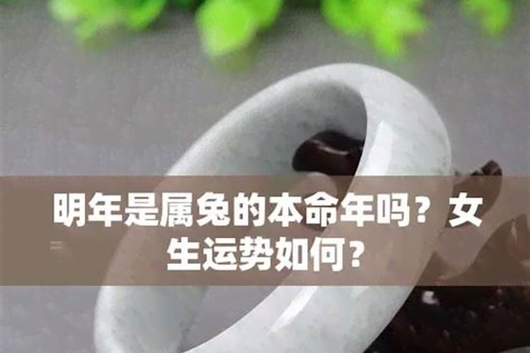 属兔人明年的运气