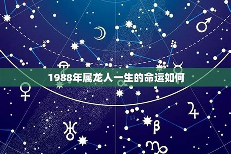 1988属龙一生命运