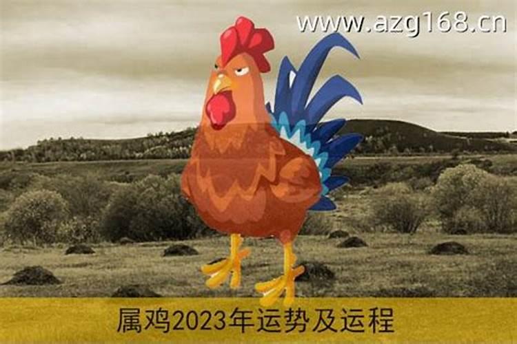 六九年属鸡的2023年运程