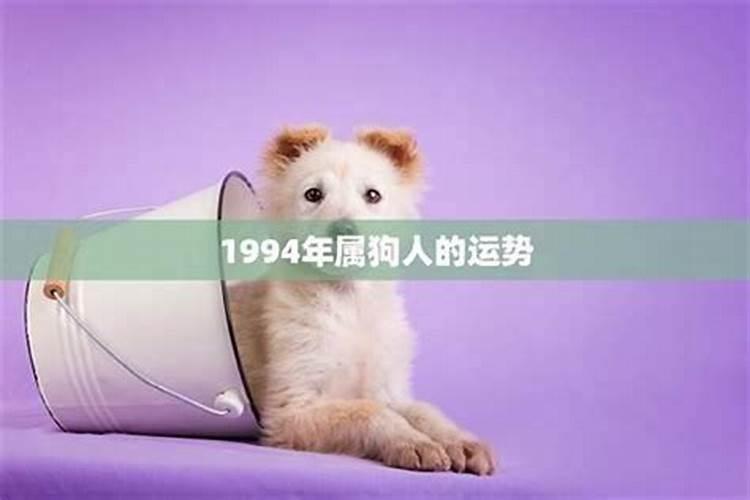 1994属狗人一生运势及运程