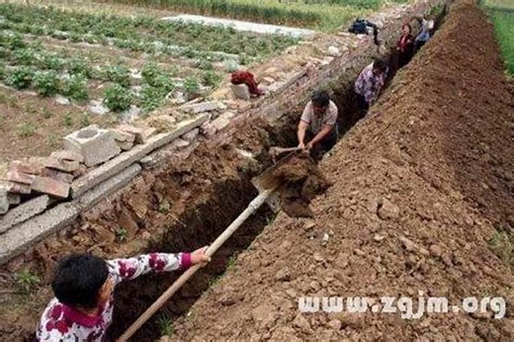 梦见奶奶跟着她孙子掉到水沟了