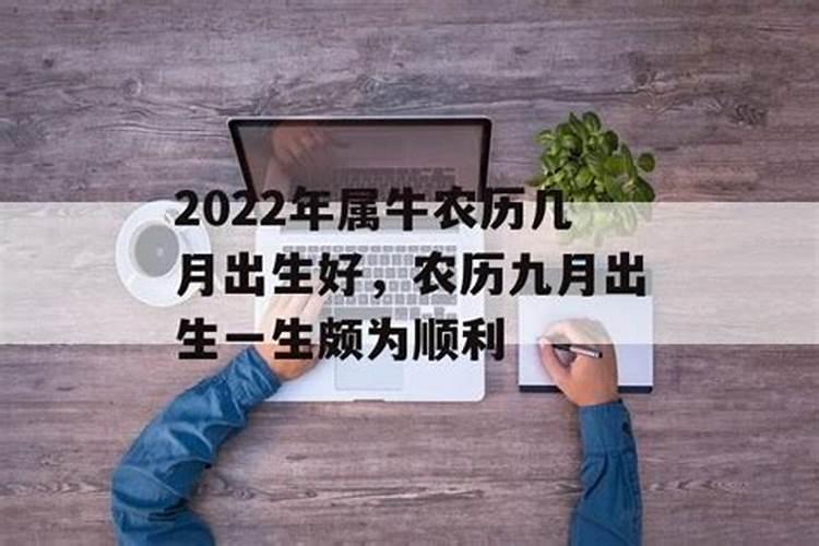 2022牛年几月份出生的宝宝命运最好