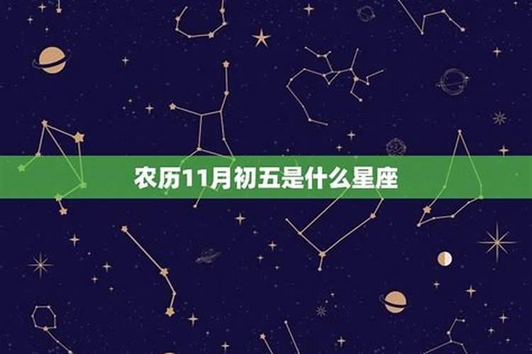 11月初七是什么星座