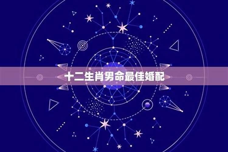 明天七夕算什么