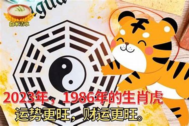 1986年生虎人今年的运程