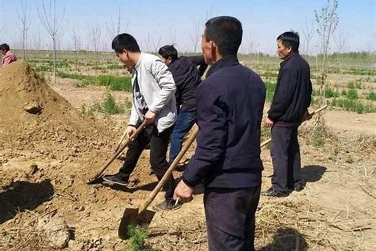 清明节能不能添坟土