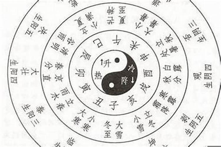 八字年重要还是日重要