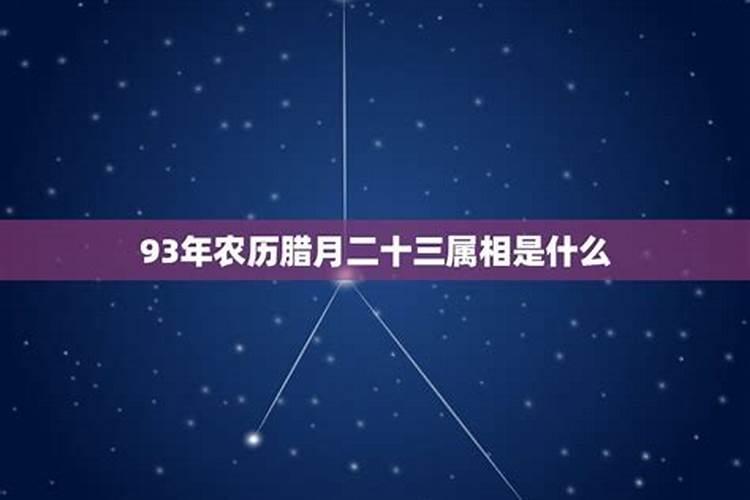 93年农历腊月初七是什么星座