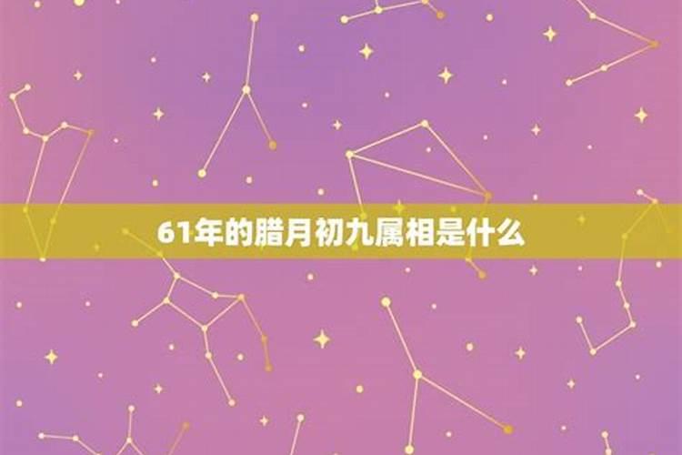 93年农历腊月初七是什么星座的