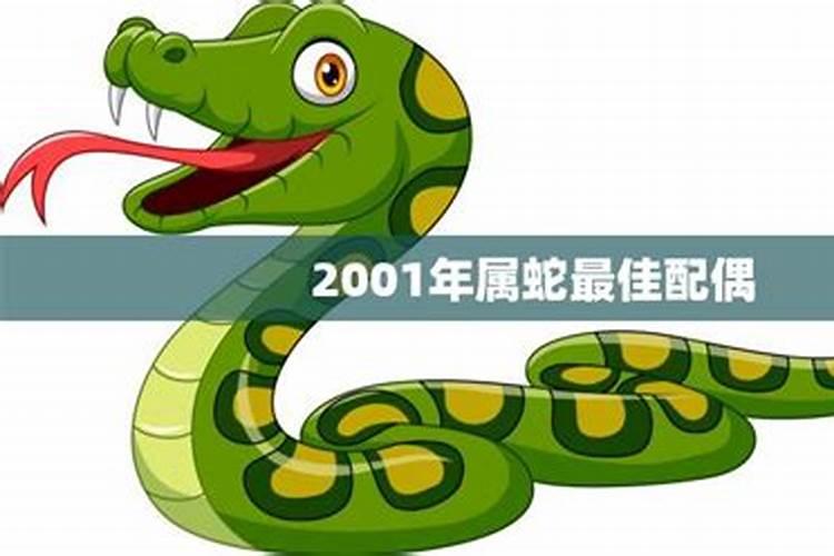 2001年属蛇的婚配方向