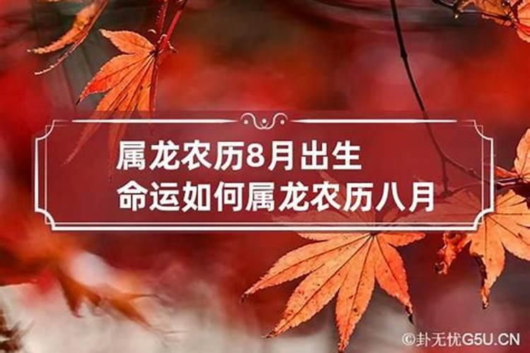 属龙农历11月份出生的命运好吗