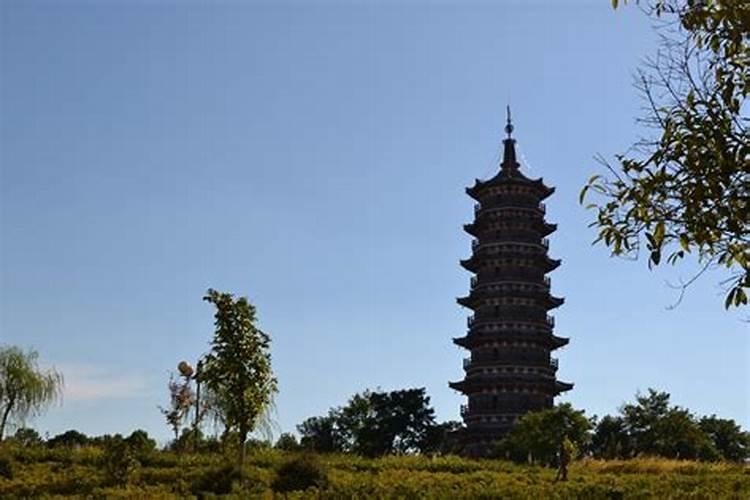 清明节祭祀活动信息怎么写