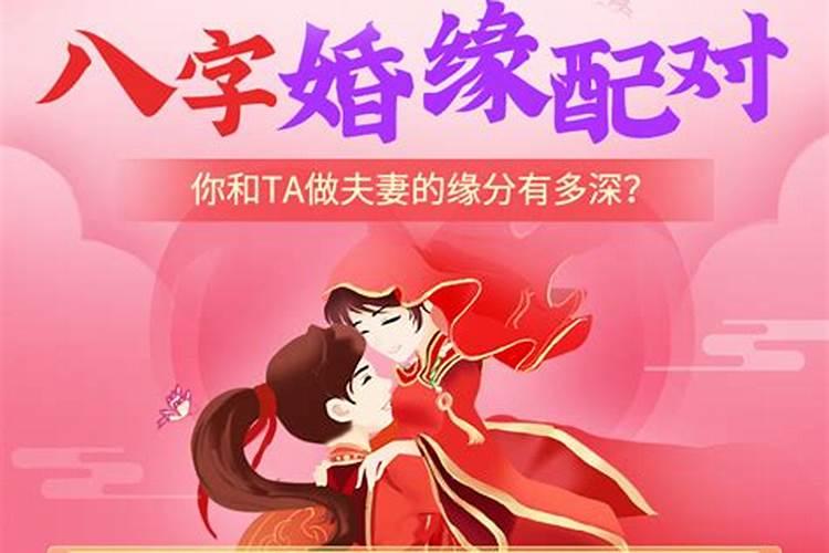 属相虎女和什么属相最佳