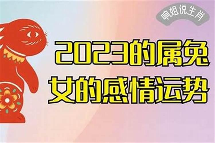 属兔的人2023年运程女性