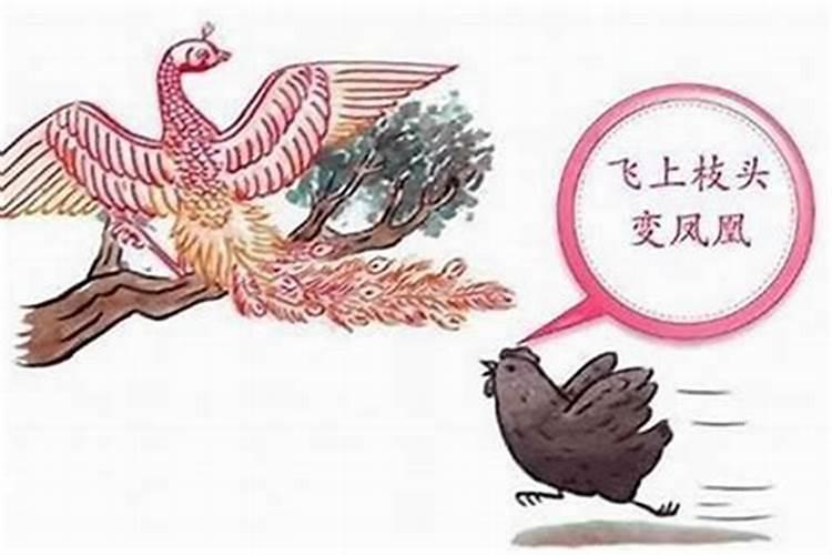 属鸡的女孩子什么时辰出生好