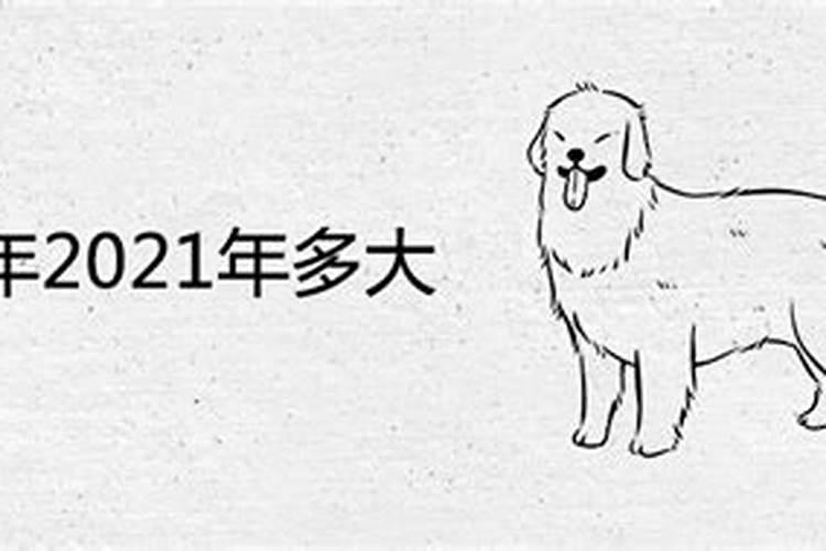 1946年2020年运势