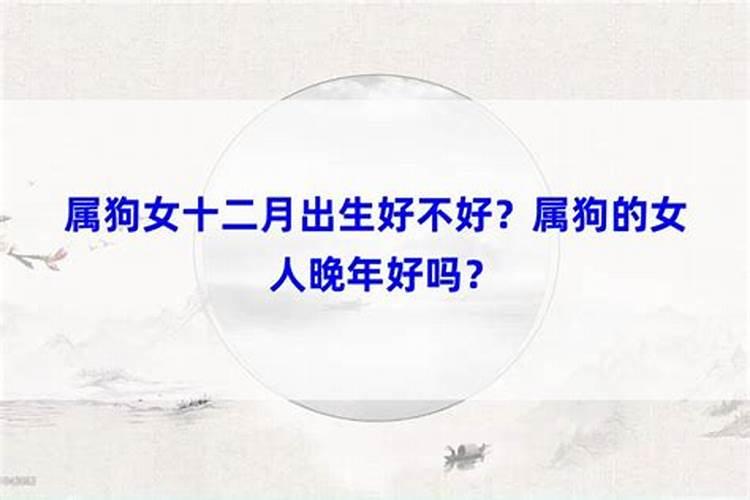 属狗农历12月月出生好不好