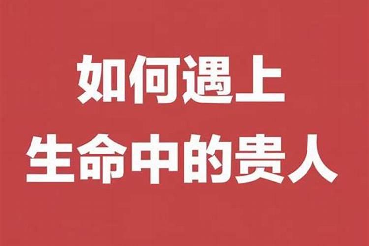 鼠羊相害有什么办法破解呢