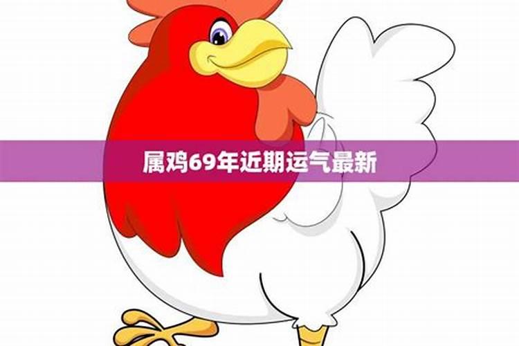 69属鸡男2021年的财运