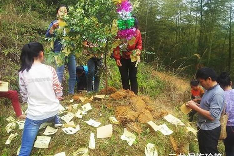 贵州清明祭扫