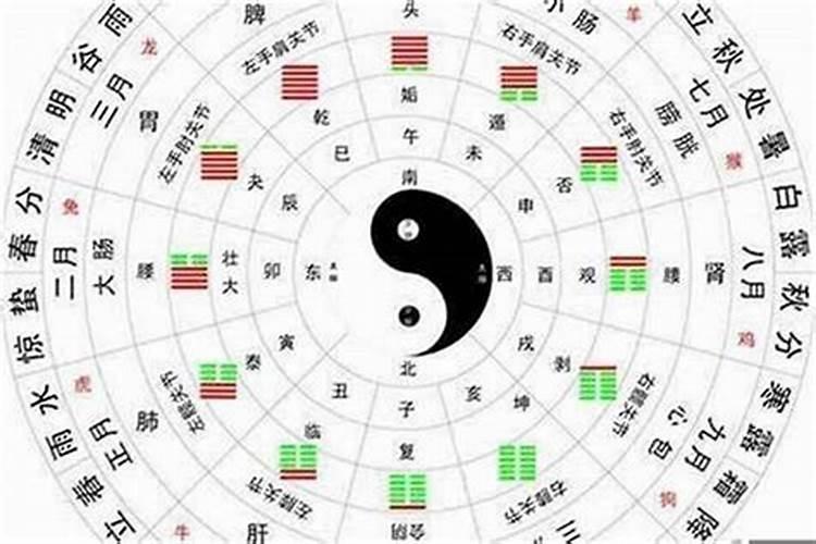 八字五行属火与什么配