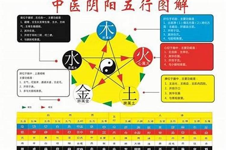 怎么看五行禁忌属性表