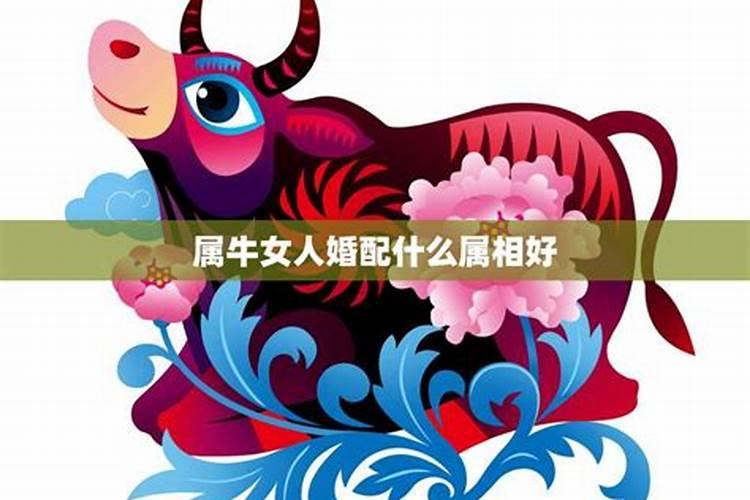 风水师厉害不厉害看哪方面的