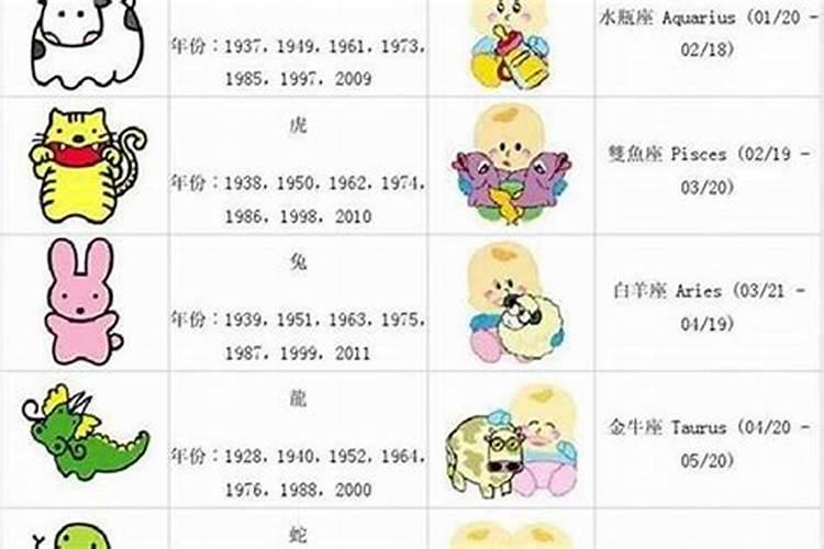 今年本命年的年份