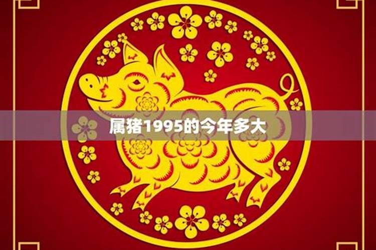 1995属猪的今年运势