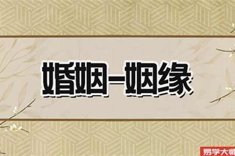 属蛇人八字运程查询