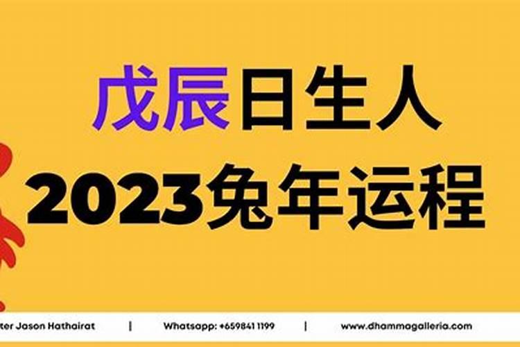 戊寅年生人2023年运程