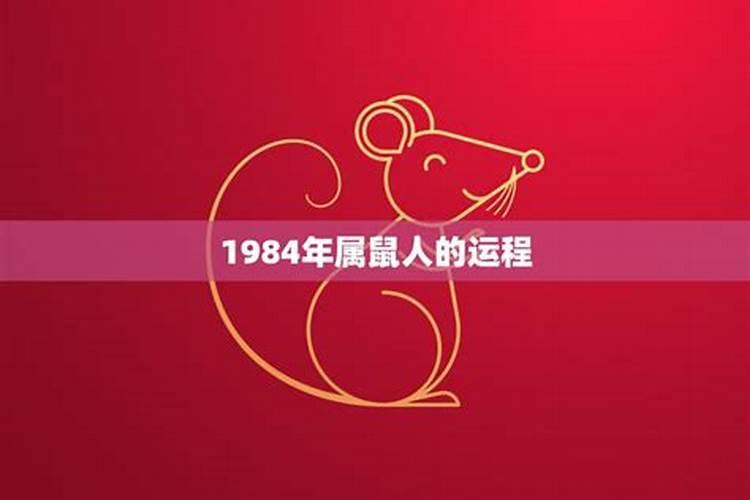 农历1972年12月19日命运分析