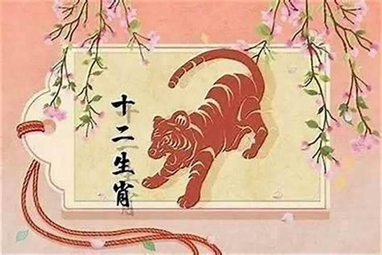 属猪女的今年运势如何呢