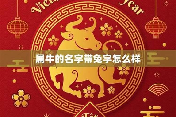 2024犯太岁的5大生肖有那些