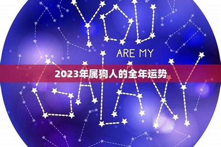 狗人在2023年运势