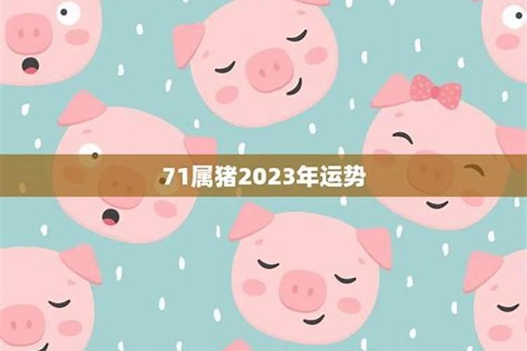 71属猪2023十年大运