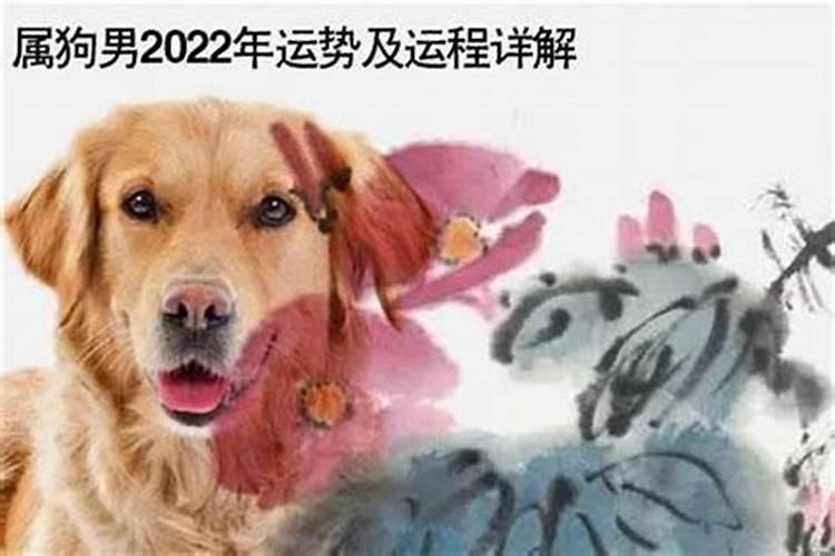 82属狗男2023年运势及运程