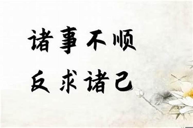 1968年属猴人的全年运势怎么样