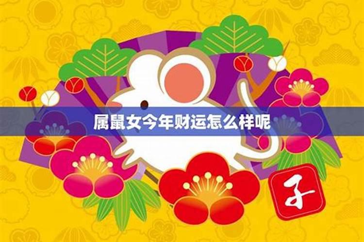 属鼠女今年运势如何