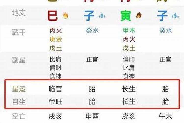 八字中星运胎是什么意思