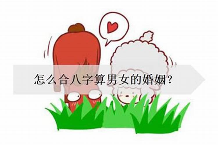 八字男女要怎么合婚