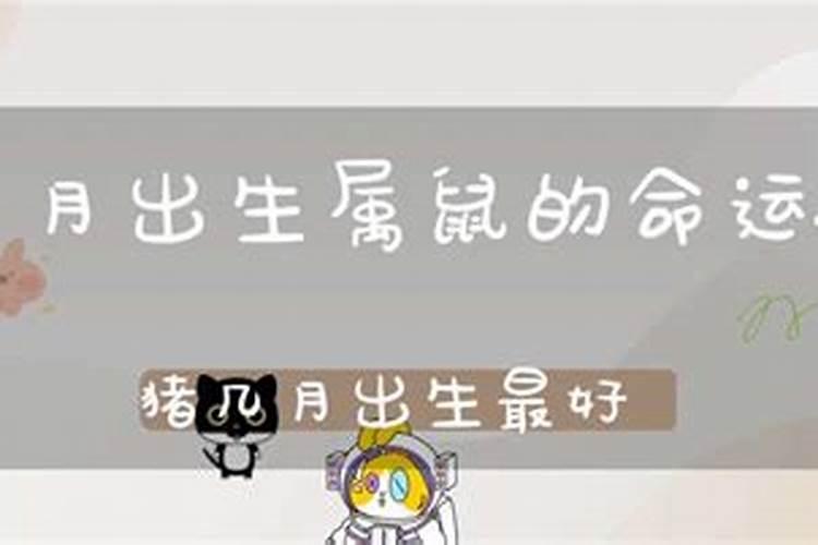 十月属鼠的人命运如何