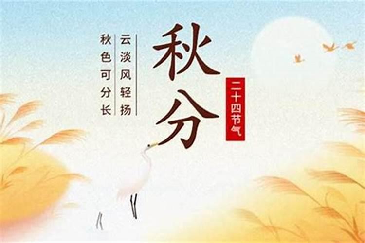 杭州重阳节老人有什么福利