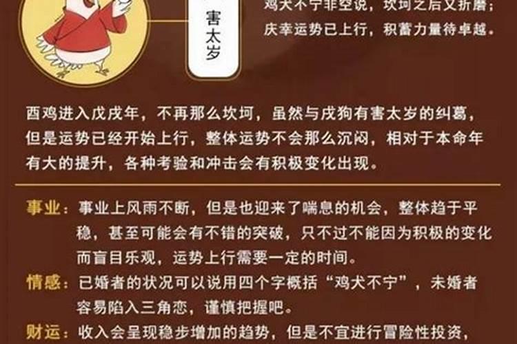 科学解释犯太岁