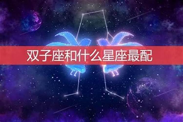 16岁的今年属什么生肖