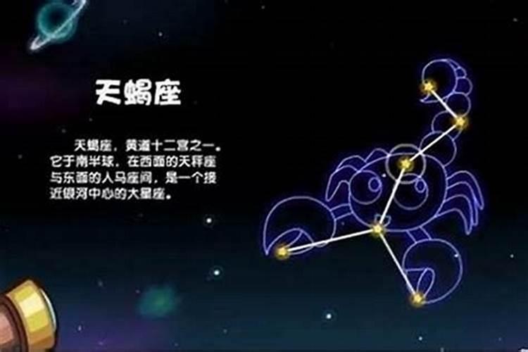 天蝎座男生和哪个星座最合适