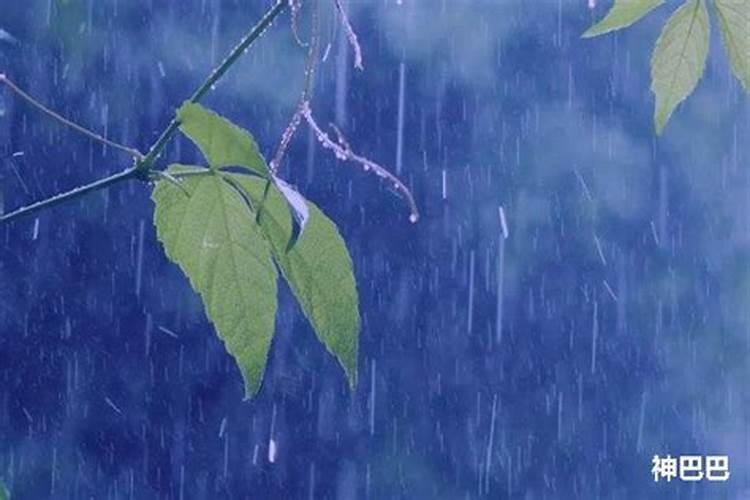 梦见安葬死人下雨