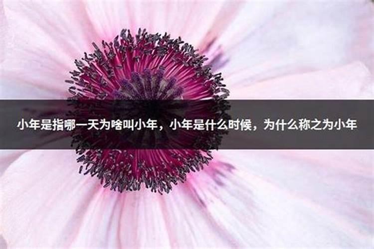 小年通常指什么时候