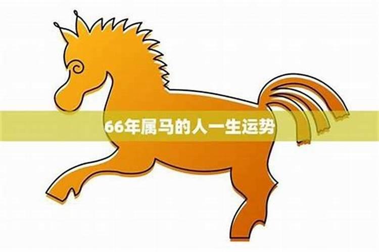 66年属马人的全年运势